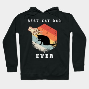 Best cat dad ever - Father vintage cat dad ever gift Hoodie